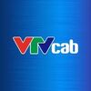  Chi Nhánh Công Ty Cổ Phần Công Nghệ Việt Thành