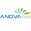 Công Ty CP Anova Feed